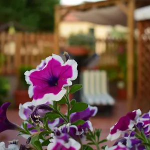 Domus Socolatae Apartments&suites Affittacamere Follonica